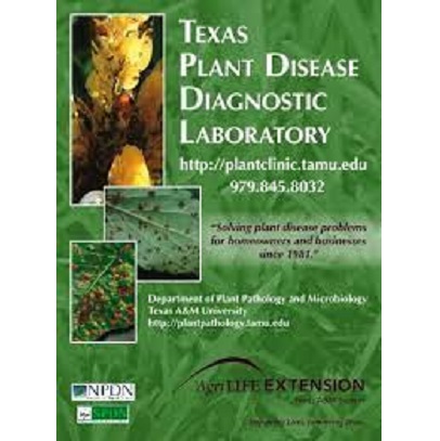 Texas A&M - Plant Disease Diagnositic Laboratory - Texas A&M - Texas ...