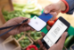 CardConnect / Southeast Green - 