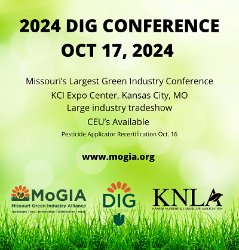 Your Aspire @ D.I.G. Conference 