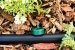 Dig Corporation - 